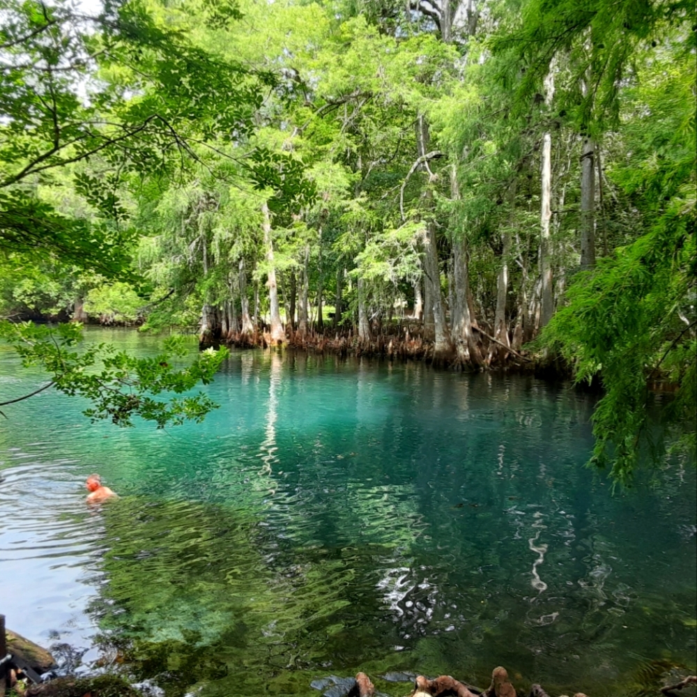 Meet your Posher, Cynthia